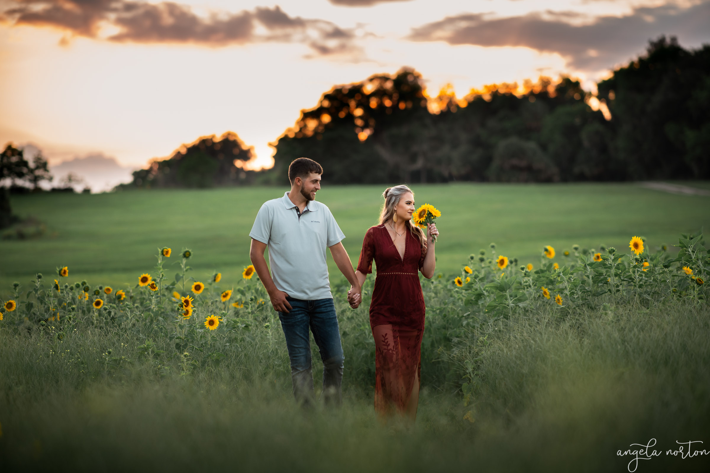 A sunset engagement session in a sunflower field in Micanopy Florida by Angela Norton.